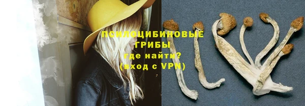 тгк Армянск