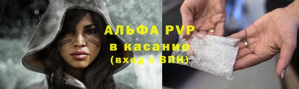 spice Арсеньев