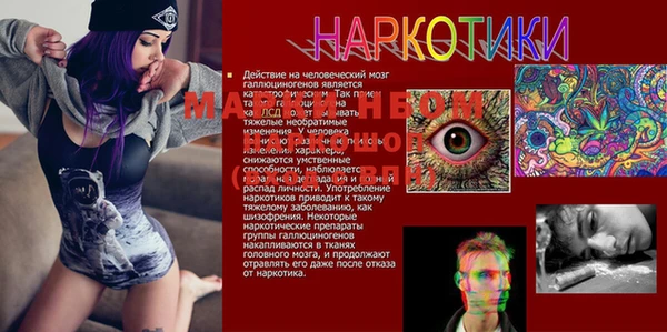 тгк Аркадак