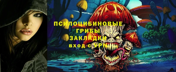 тгк Аркадак